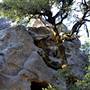 Castle Rock State Park (SP)
