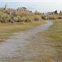 Mono Lake Tufa State Natural Reserve (SNR) / South Tufa Lake - Inyo National Forest (NF)