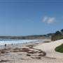 Carmel Beach