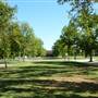 California State University, Fresno