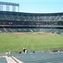 Oracle Park