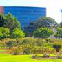 Exposition Park Rose Garden