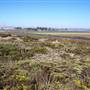 Salinas River State Beach (SB)