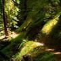 Portola Redwoods State Park (SP)