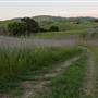 Mount Diablo State Park (SP)