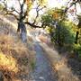 Fremont Peak State Park (SP)