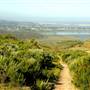 Los Osos Oaks State Natural Reserve (SNR)