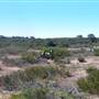 Torrey Pines State Natural Reserve (SNR)