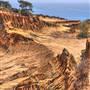 Torrey Pines State Natural Reserve (SNR)