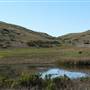 Harmony Headlands State Park (SP)