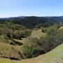 Armstrong Redwoods State Natural Reserve (SNR)