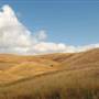 Chino Hills State Park (SP)