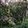 Tomales Bay State Park (SP)