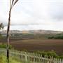 San Juan Bautista State Historic Park (SHP)