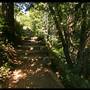Garrapata State Park (SP)