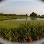 Arcata Marsh and Wildlife Sanctuary
