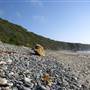 Sand Dollar Beach - Big Sur - Los Padres National Forest