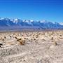 Owens Dry Lake / Owens Lake - State Lands Commission (SLC)