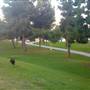 Alondra Community Regional Park