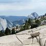 Olmsted Point