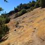 Calaveras Big Trees State Park (SP)