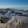 Cardiff State Beach (SB)