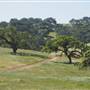 Pacheco State Park (SP) and Windmill Farm / Wind Energy