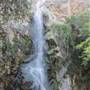 Angeles National Forest