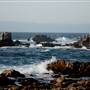 Asilomar State Beach and Conference Grounds