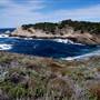 Point Lobos State Natural Reserve (SNR)