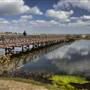 Bolsa Chica Ecological Reserve - California Department of Fish & Wildlife (CDFW)