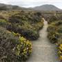 Montana de Oro State Park (SP)