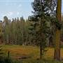 Sequoia and Kings Canyon National Parks & Crystal Cave