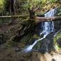 Jedediah Smith Redwoods State Park (SP) within the Redwood National and State Parks