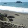 Sonoma Coast State Park (SP)