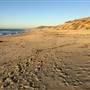 Fort Ord Dunes State Park (SP)
