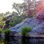 Henry W. Coe State Park (SP)