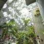 California Academy of Sciences