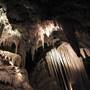 Providence Mountains State Recreation Area (SRA) / Mitchell Caverns