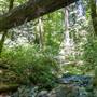 Bothe-Napa Valley State Park (SP)