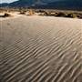 Olancha Sand Dunes - Bureau of Land Management - California Desert District - Ridgecrest Field Office - BLM - Off Highway Vehicle Area - OHV