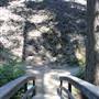 McArthur-Burney Falls Memorial State Park (SP)