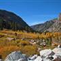 Sonora Pass Highway - Upper Highway 108