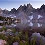 Kings Canyon National Park