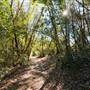 Robert Louis Stevenson State Park (SP)