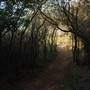 Topanga State Park (SP)