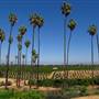 California Citrus State Historic Park (SHP)