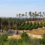 California Citrus State Historic Park (SHP)