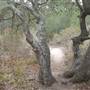 Burton Mesa Ecological Reserve - California Department of Fish & Wildlife (CDFW)