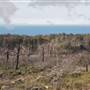 Bonny Doon Ecological Reserve - California Department of Fish & Wildlife (CDFW)